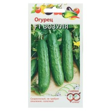 Cucumber seeds 