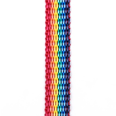 Kapron "Rainbow" leash, 1.6 m x 1 cm-5