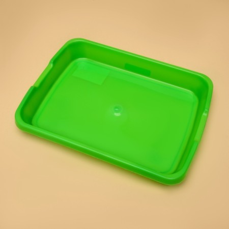 Tray for germination of grass to cats with a lid, 32 x 23.5 x 5 cm-2
