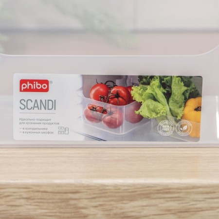 SCANDI storage basket, 3.1 l, 24 × 17 × 9 cm, transparent color-3