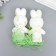 Decor "Zaychat in sprinkling with carrots and grass" set 12 cm