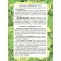 Cards for smart development. Dinosaurs. 34 cards. Boychenko T.I.