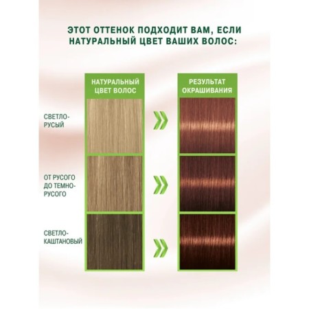 Hair dye Palette Naturals, 6-68 caramel chestnut, 110 ml-6