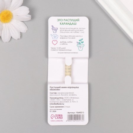 Growing gift pencils Mini "Basil"-1