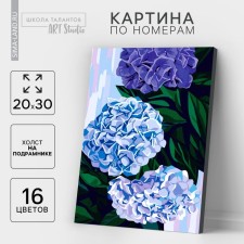 Picture on numbers on canvas with a subframe of 