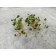 Mat for seedlings and microsenens, 0.5 × 0.3 m, with UV stabilizer