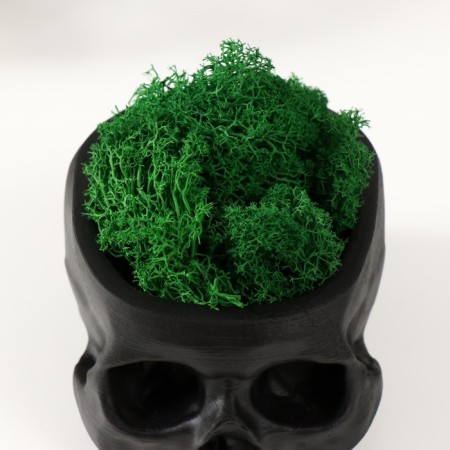 Kashpo concrete "Skull" with moss black 13x9x6.5 cm (moss green stabilized)-4