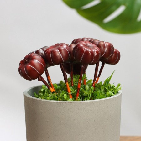 Set of plugs "Pumpkin" 10pcs, 4x2cm-5