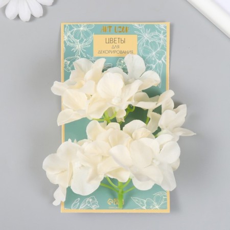 Flowers for decorating "hydrangea" white-yellow 10x10 cm-3