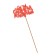 Topper wooden "Happy birthday" red 13x8 cm