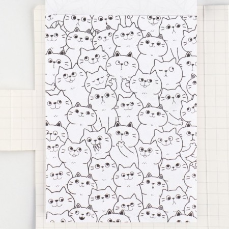 Set in a postcard: a tear -off block with tasks and pencils "Raccoon"-5