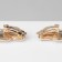 Clips "Party" rhombus, rainbow color in gold