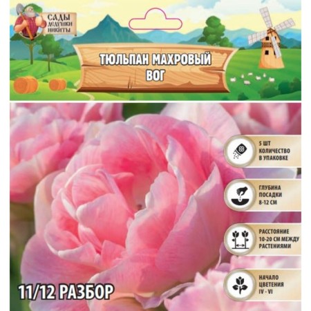 Tulip Terry Vog, river 11/12, 5 pcs, autumn 2023