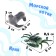 Game set "Sea City", sea animals in the suitcase