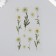 Stickers for creativity plastic "Chamomile" 21x10.5 cm