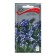 Flower seeds Statitsa "Blue Suprim", 0.15 g