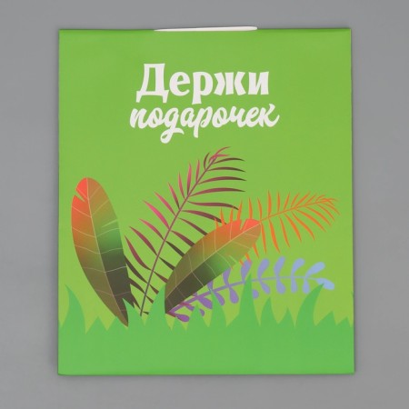 Gift package with a mold valve, packaging, “Lion”, 23 x 27 x 11.5 cm-7