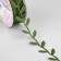 Figure tape "Leaves", 25 mm, 9 ± 0.5 m, dark green color