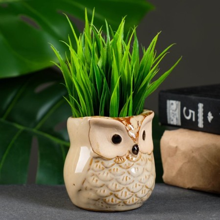 Pot "Owl Ava" 6x6x6.5cm, mix-6