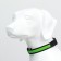 Collar with flash light 3 light modes, size XL, Osh 52-60 x 2.5 cm Green