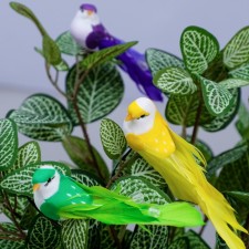 Decor at the clothespin 