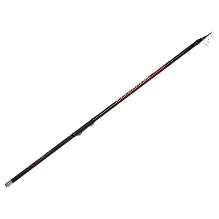 Salmo Diamond Bolognes Medium MF, test 5-20 g, length 5 m.