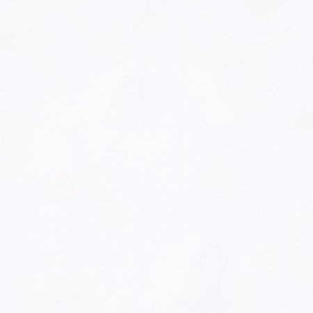 Packing paper, glossy "Princess", 70 x 100 cm-4