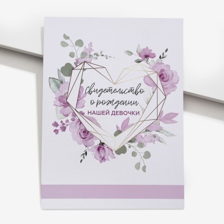 Folder for the birth certificate "Our Girl", A4