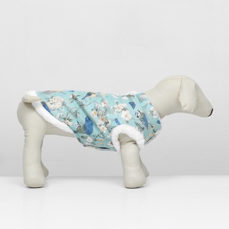Dog jacket "Tenderness", size m-2