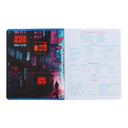 Notebook “World of the Future”, 48 sheets in a cage, “Algebra”, coated cardboard, metallized paint, OFSET block-2