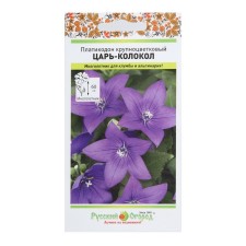 Flower seeds Platicodon 