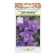 Flower seeds Platicodon "Tsar-Cell" coarse-flowered, series Russian garden, many, 8 pcs