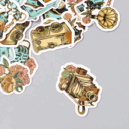 Stickers for creativity "Retro and flowers" embossing gold set 48 pcs 9x7x0.8 cm-3