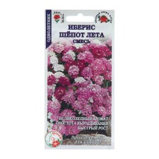 Flower seeds Iberis 