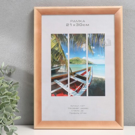 Photo frame tree "Image Art" C21 21x30 cm, (glass), pine