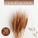 Dry Column of wheat, set 30 pcs., Golden color