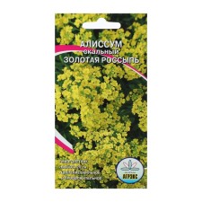 Alisum flowers 
