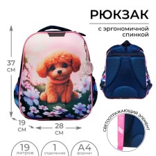 School backpack, 37 x 28 x 19 cm, Calligrata Volt 