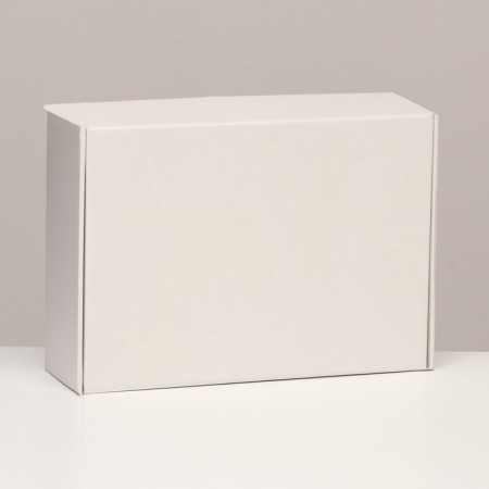 Self -charged box, white, 31 x 22 x 9.5 cm set 5 pcs