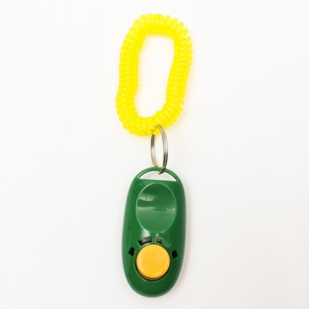 Clider for training dogs with a bracelet on the hand, green-2