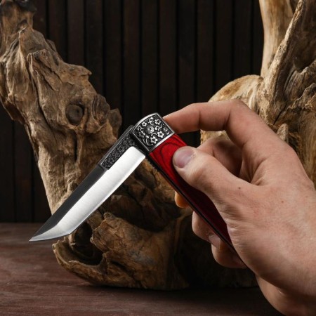 Folding knife "Tanto" 22.5cm, blade 100mm/1.4mm, handle of wood-6
