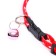 Collar "paws-capacity" with a bell, kapron, 30 x 1 cm, red