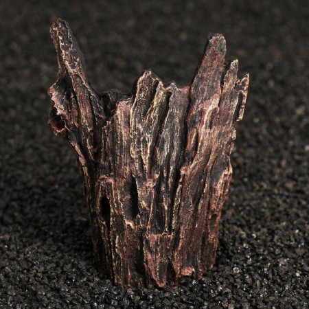 Shelter for wood terrarium, 15 x 11 x 5.5 cm-1