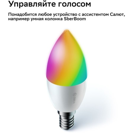 Комплект Sber SBDV-00135-3