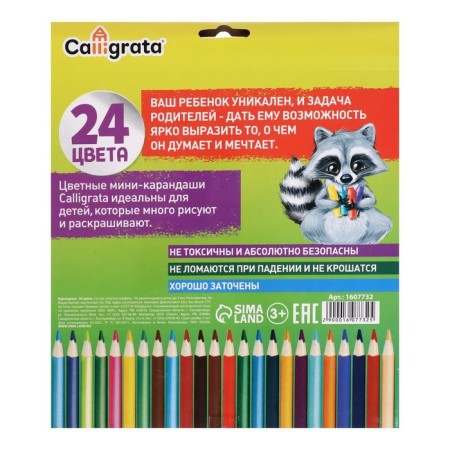 Pencils 24 colors, hexagonal, in a cardboard box-3