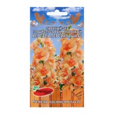 Flower seeds lion Zev Gladiolus terry 