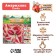 Amarillis "Samba", district 22/24, 1 pc,
