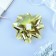Bant star No. 14, gold, metallic