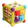 Developing Sorter "Miracle Cube"