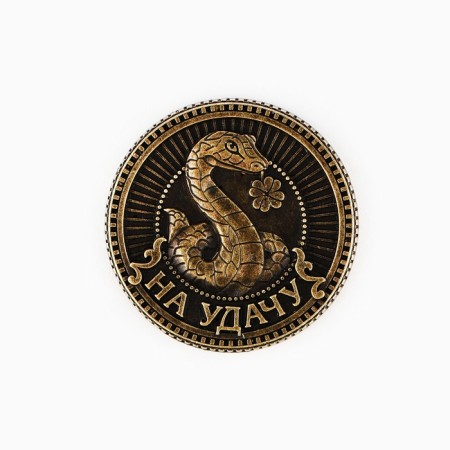 Coin New Year's amulet "New Year: Success and Prosperity", Diam 2.5 cm-3
